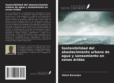 Bookcover of Sostenibilidad del abastecimiento urbano de agua y saneamiento en zonas áridas