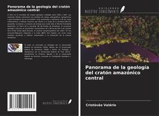 Capa do livro de Panorama de la geología del cratón amazónico central 