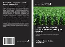 Plagas de los granos almacenados de maíz y su gestión kitap kapağı