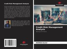Credit Risk Management Analysis kitap kapağı