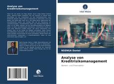 Analyse von Kreditrisikomanagement kitap kapağı