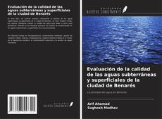 Bookcover of Evaluación de la calidad de las aguas subterráneas y superficiales de la ciudad de Benarés