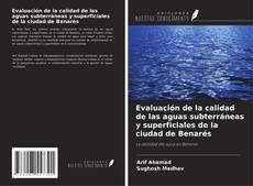 Evaluación de la calidad de las aguas subterráneas y superficiales de la ciudad de Benarés的封面