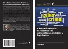Bookcover of Ciberdelincuencia: características criminológicas básicas y legislación