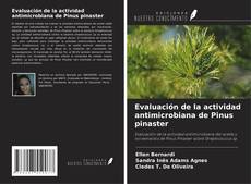 Bookcover of Evaluación de la actividad antimicrobiana de Pinus pinaster