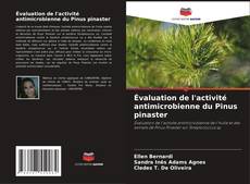 Couverture de Évaluation de l'activité antimicrobienne du Pinus pinaster