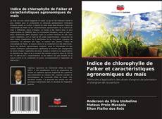 Bookcover of Indice de chlorophylle de Falker et caractéristiques agronomiques du maïs