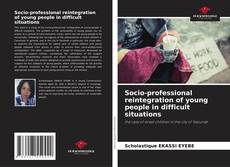 Portada del libro de Socio-professional reintegration of young people in difficult situations