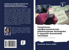 Couverture de Социально-профессиональная реинтеграция молодежи в трудной жизненной ситуации