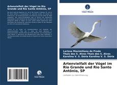 Bookcover of Artenvielfalt der Vögel im Rio Grande und Rio Santo Antônio, SP