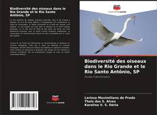 Bookcover of Biodiversité des oiseaux dans le Rio Grande et le Rio Santo Antônio, SP
