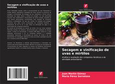 Secagem e vinificação de uvas e mirtilos kitap kapağı