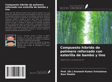 Bookcover of Compuesto híbrido de polímero reforzado con esterilla de bambú y lino
