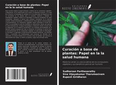 Curación a base de plantas: Papel en la la salud humana kitap kapağı