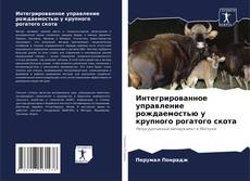 Bookcover of Интегрированное управление рождаемостью у крупного рогатого скота