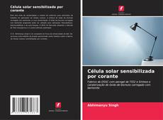 Buchcover von Célula solar sensibilizada por corante
