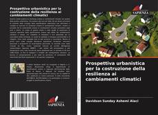 Bookcover of Prospettiva urbanistica per la costruzione della resilienza ai cambiamenti climatici