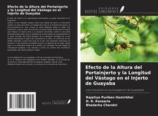 Capa do livro de Efecto de la Altura del Portainjerto y la Longitud del Vástago en el Injerto de Guayaba 