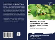 Bookcover of Влияние высоты корневища и длины привоя на прививку гуавы