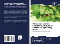 Capa do livro de Влияние высоты корневища и длины привоя на прививку гуавы 