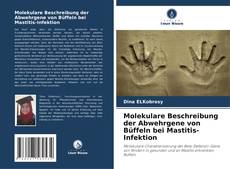 Buchcover von Molekulare Beschreibung der Abwehrgene von Büffeln bei Mastitis-Infektion