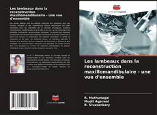 Portada del libro de Les lambeaux dans la reconstruction maxillomandibulaire - une vue d'ensemble