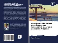 Capa do livro de Реализация политики инкубирования технологий в регионе Западной Африки 