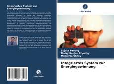 Portada del libro de Integriertes System zur Energiegewinnung