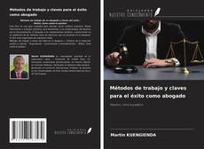 Bookcover of Métodos de trabajo y claves para el éxito como abogado