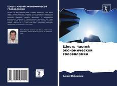 Capa do livro de Шесть частей экономической головоломки 