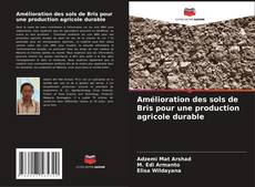 Bookcover of Amélioration des sols de Bris pour une production agricole durable