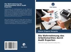 Buchcover von Die Wahrnehmung des Arbeitsmarktes durch Audit Experten