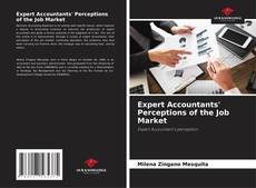 Buchcover von Expert Accountants' Perceptions of the Job Market