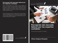 Bookcover of Percepción del mercado laboral por los expertos contables