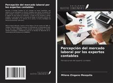 Percepción del mercado laboral por los expertos contables kitap kapağı