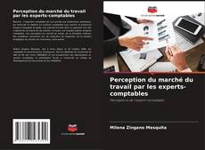 Bookcover of Perception du marché du travail par les experts-comptables