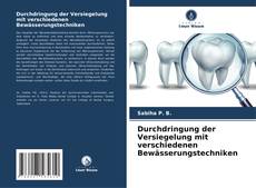 Bookcover of Durchdringung der Versiegelung mit verschiedenen Bewässerungstechniken