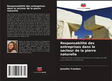 Bookcover of Responsabilité des entreprises dans le secteur de la pierre naturelle