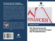 Buchcover von Die Bewertung der negativen Auswirkungen der Kreditklemme