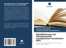 Bookcover of Identifizierung von Tomatensorten (Lycopersicon esculentum Mill)