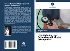 Buchcover von Hirnperfusion bei Patienten mit akutem Schlaganfall