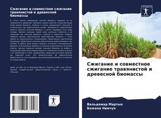 Capa do livro de Сжигание и совместное сжигание травянистой и древесной биомассы 