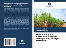 Bookcover of Verbrennung und Mitverbrennung von krautiger und holziger Biomasse