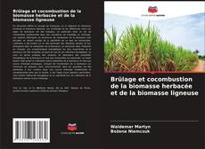 Buchcover von Brûlage et cocombustion de la biomasse herbacée et de la biomasse ligneuse