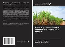 Couverture de Quema y co-combustión de biomasa herbácea y leñosa