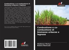 Buchcover von Combustione e co-combustione di biomasse erbacee e legnose