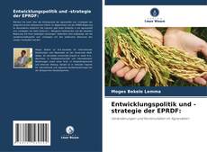 Entwicklungspolitik und -strategie der EPRDF: kitap kapağı
