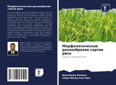 Bookcover of Морфологическое разнообразие сортов риса