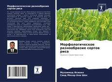 Capa do livro de Морфологическое разнообразие сортов риса 