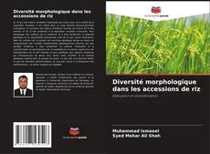 Copertina di Diversité morphologique dans les accessions de riz